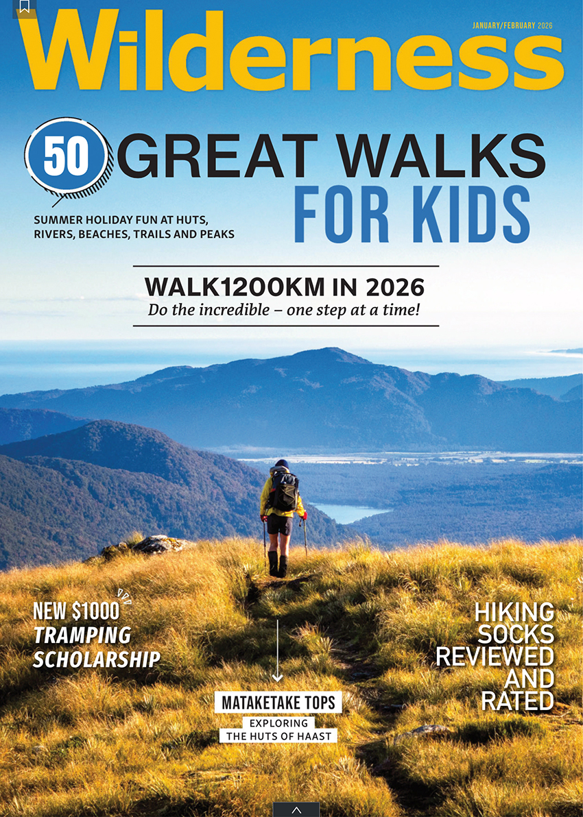 Wilderness article 1 copy
