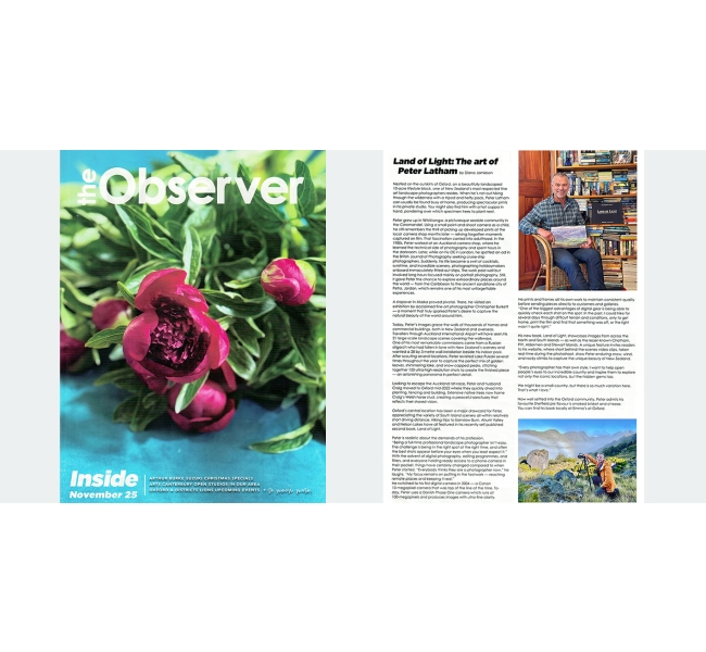 observer news section